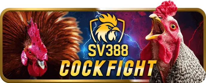 Dịch Vụ Chăm Sóc Khách Hàng 24/7
